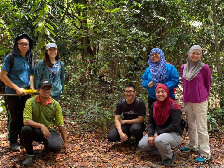 Friends of Belalong volunteers' involvement during the assessment of Nepenthes rafflesiana at Berakas FR.