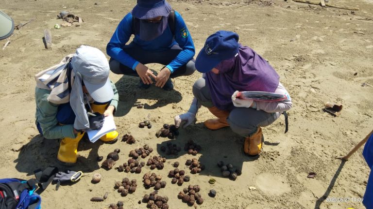 WI and UBD BRC during one of their monthly visits  for seed collection and monitoring.