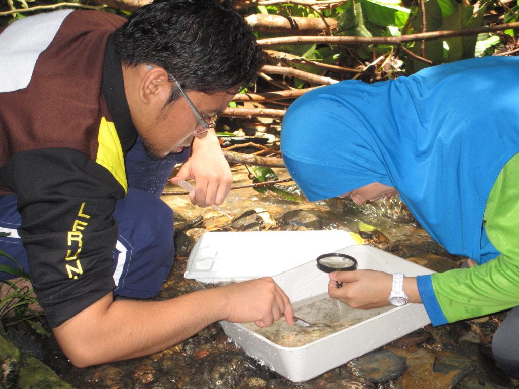 Fieldwork at KBFSC