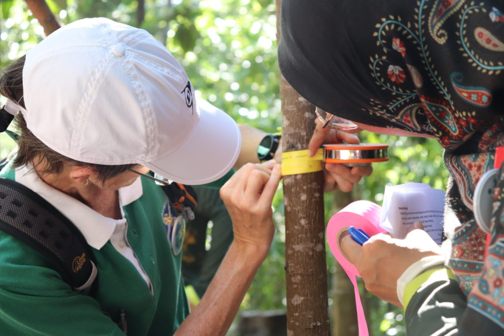 Workshop for fieldwork skills