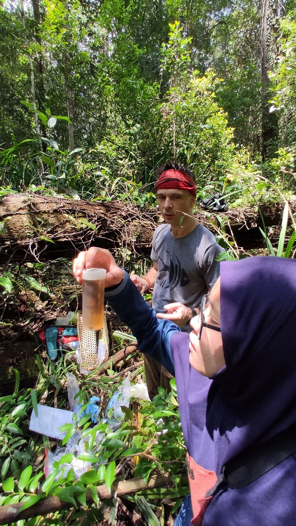 Dr Rene Dommain (NTU) and Wardah Hj Tuah (UBD) collecting water samples from the Badas peat swamps.